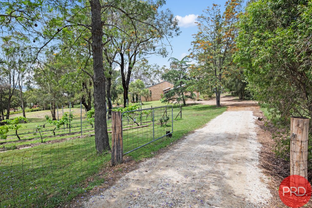 12 Malia Crescent WINDELLA 2