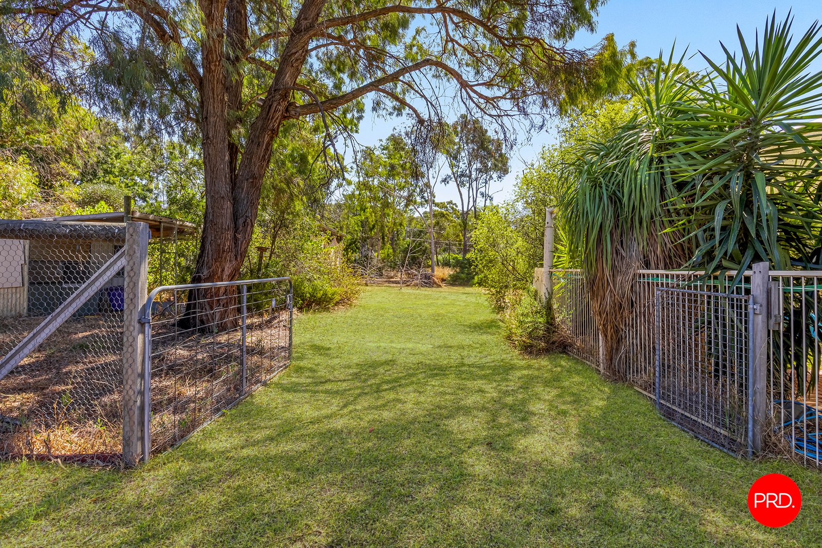 12 McInnes Street BIG HILL 26