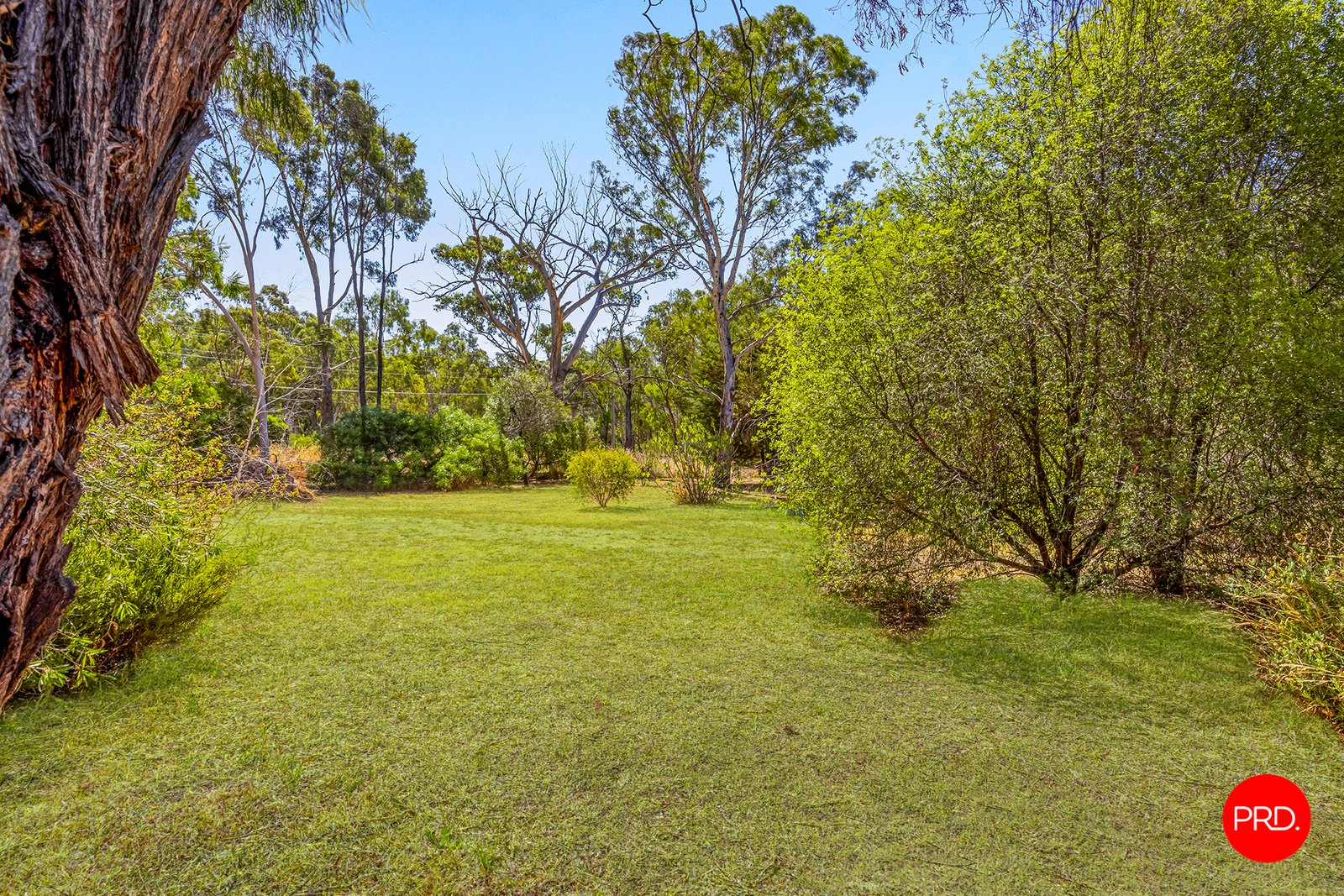 12 McInnes Street BIG HILL 27