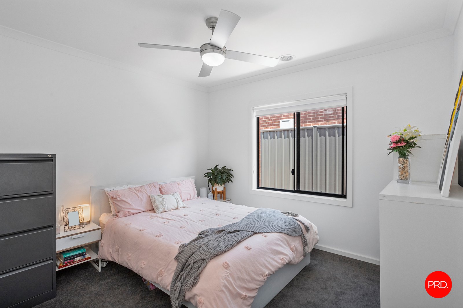 12 Oakwood Avenue JACKASS FLAT 15