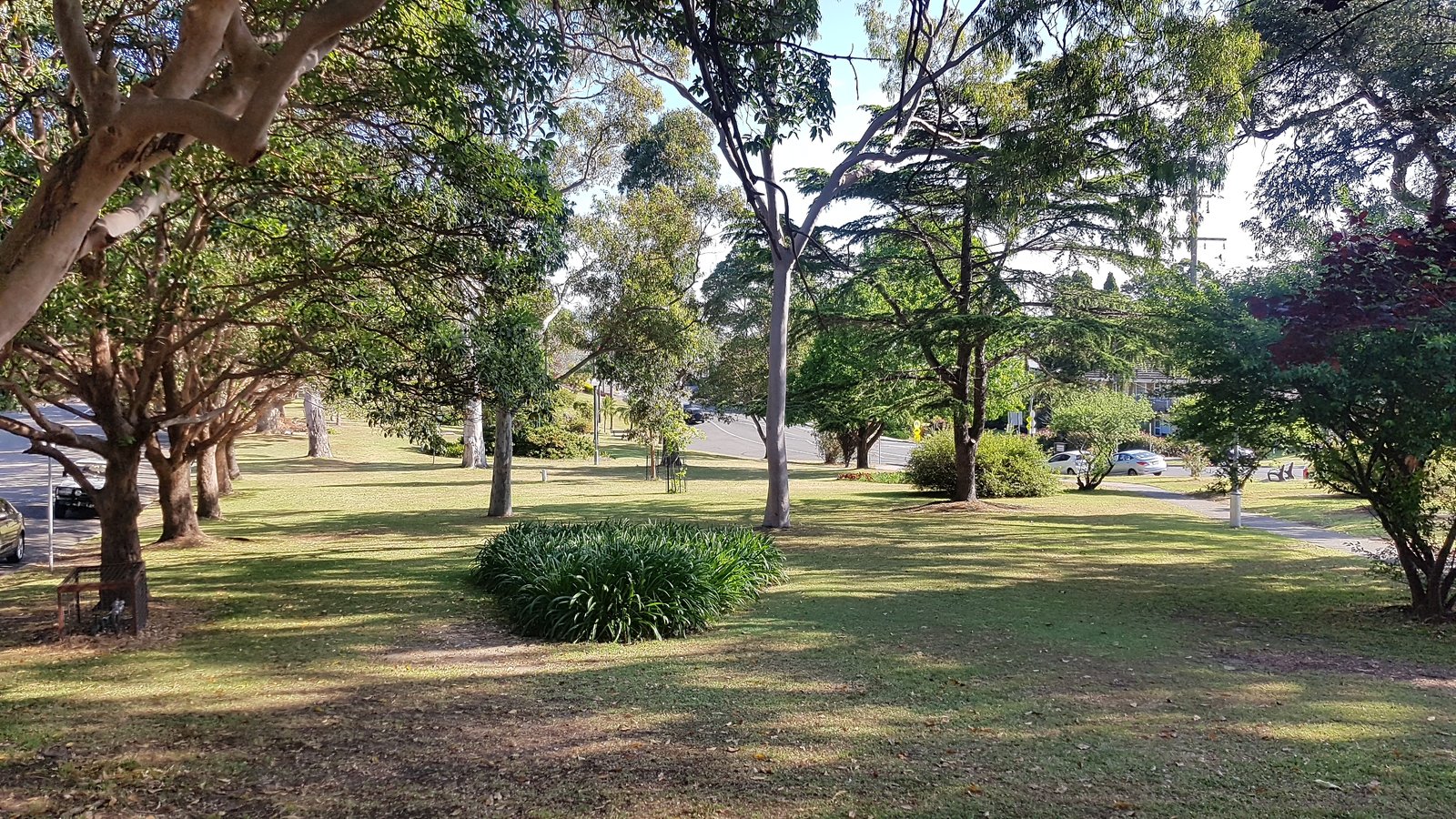 1/2 Oatley Ave  OATLEY 7
