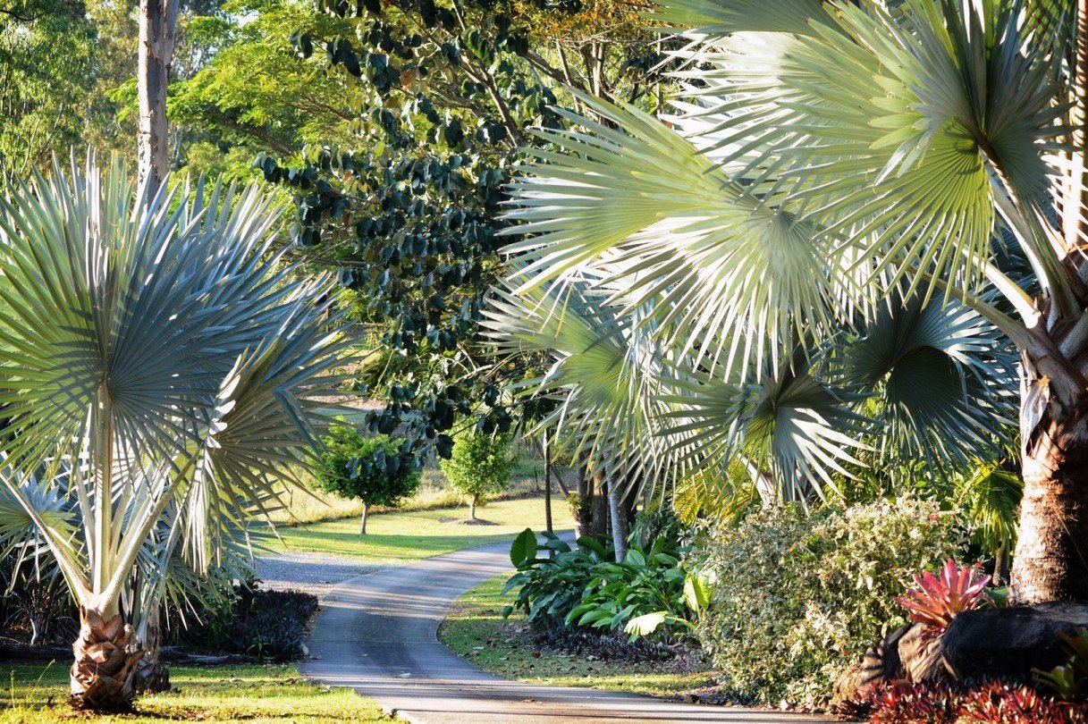 12 Orchid Road CANNONVALE 14