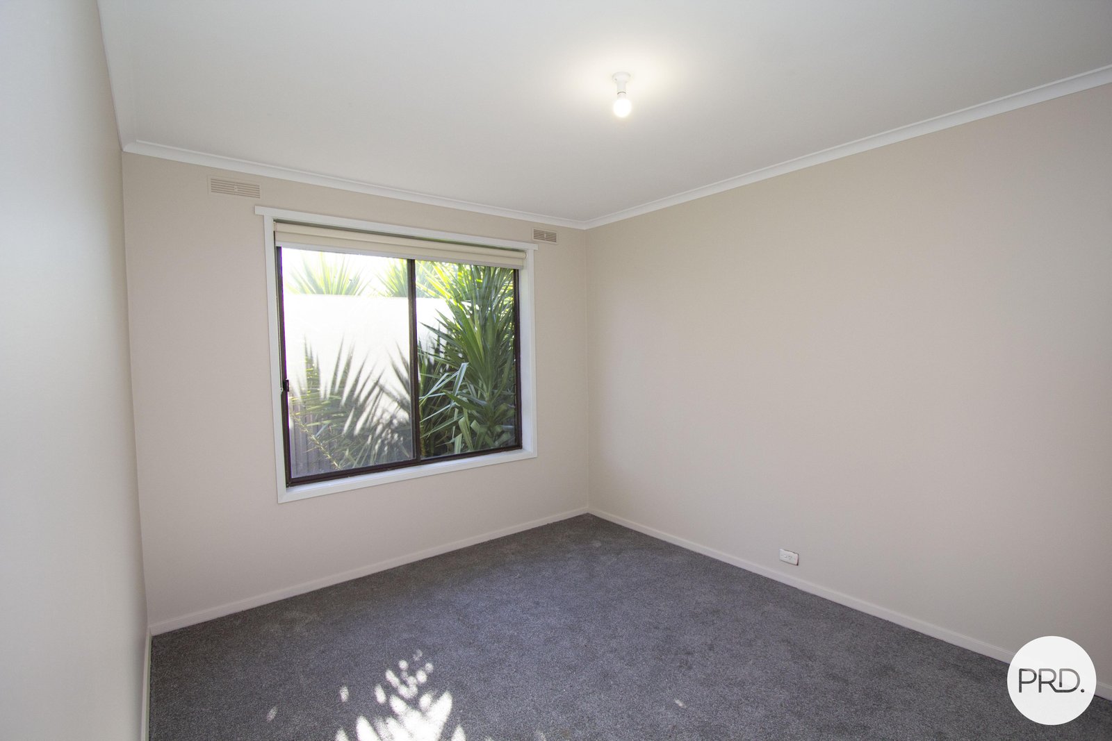 12 Prince Street SEBASTOPOL 11