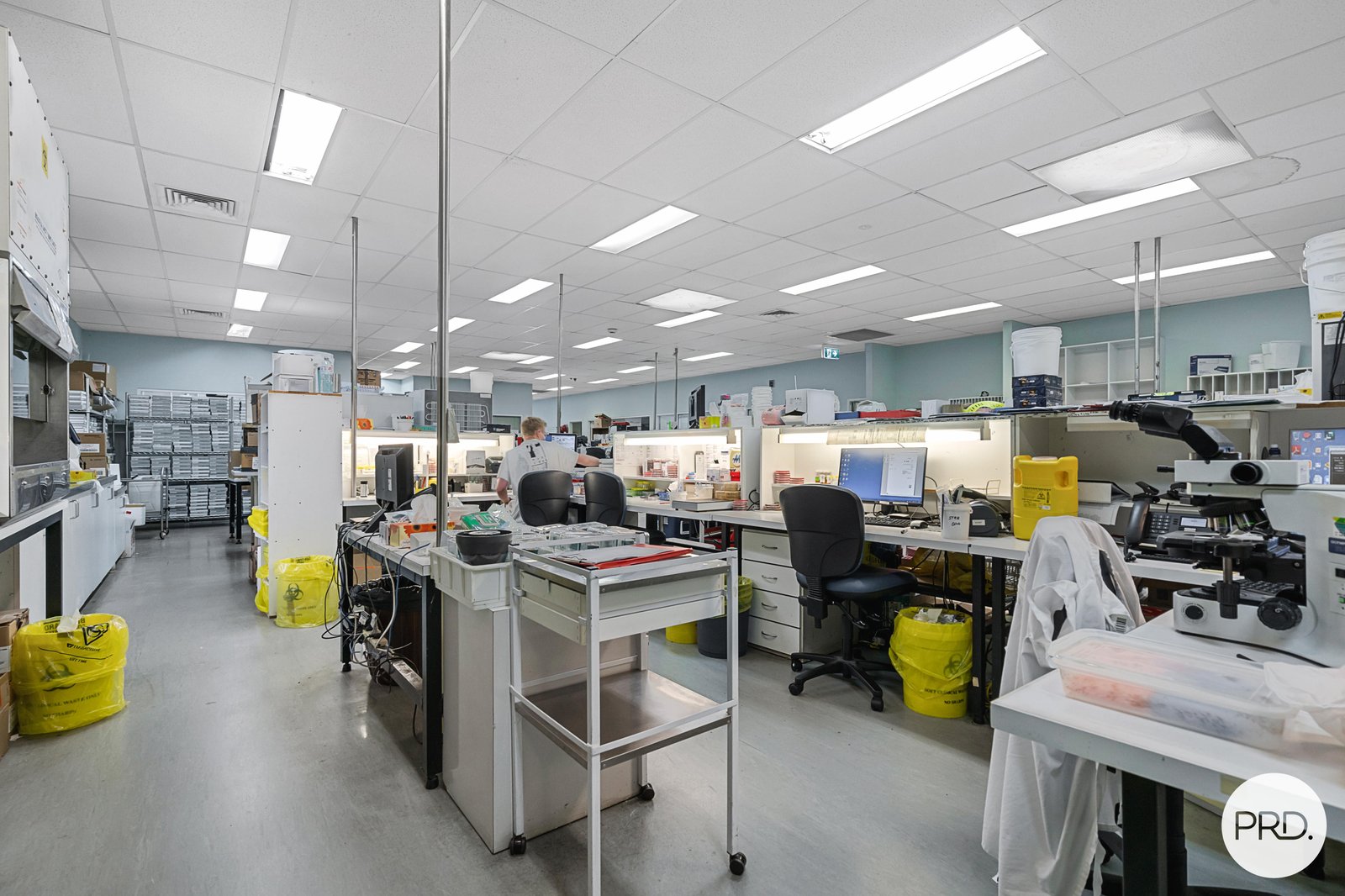 1/2 Ramsay Place WEST ALBURY 11