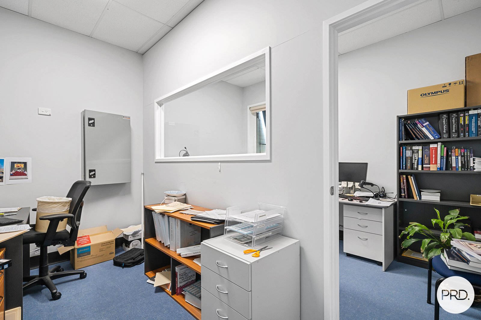 1/2 Ramsay Place WEST ALBURY 12