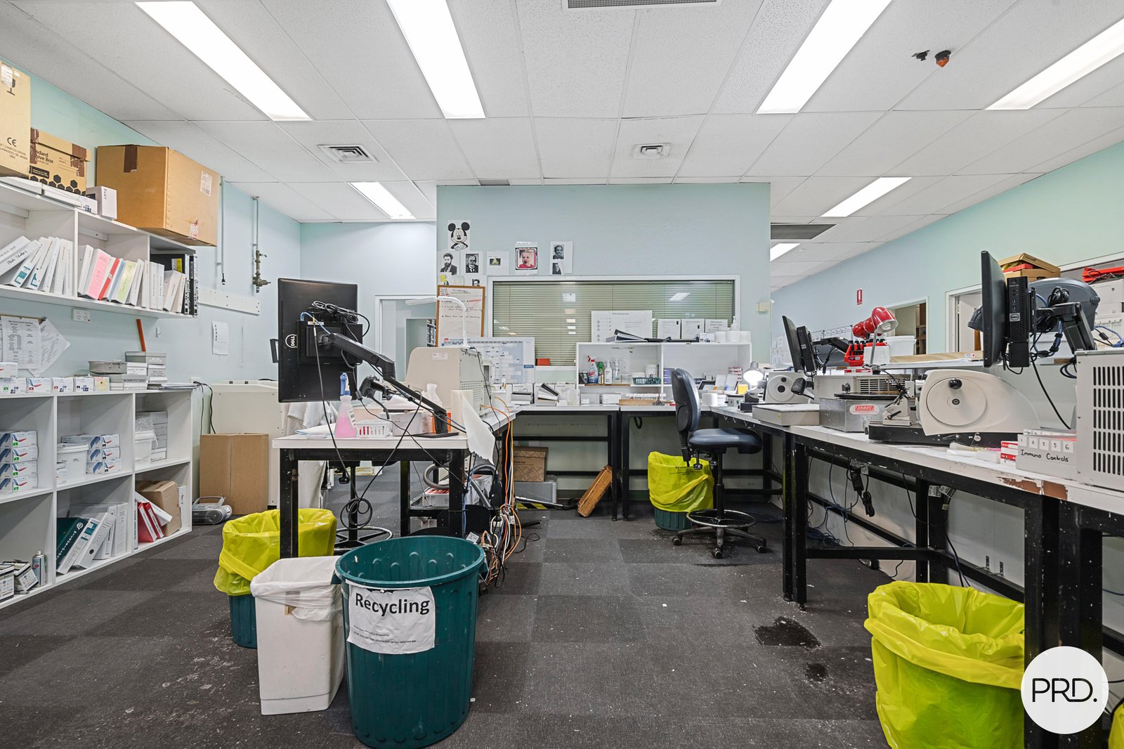 1/2 Ramsay Place WEST ALBURY 16