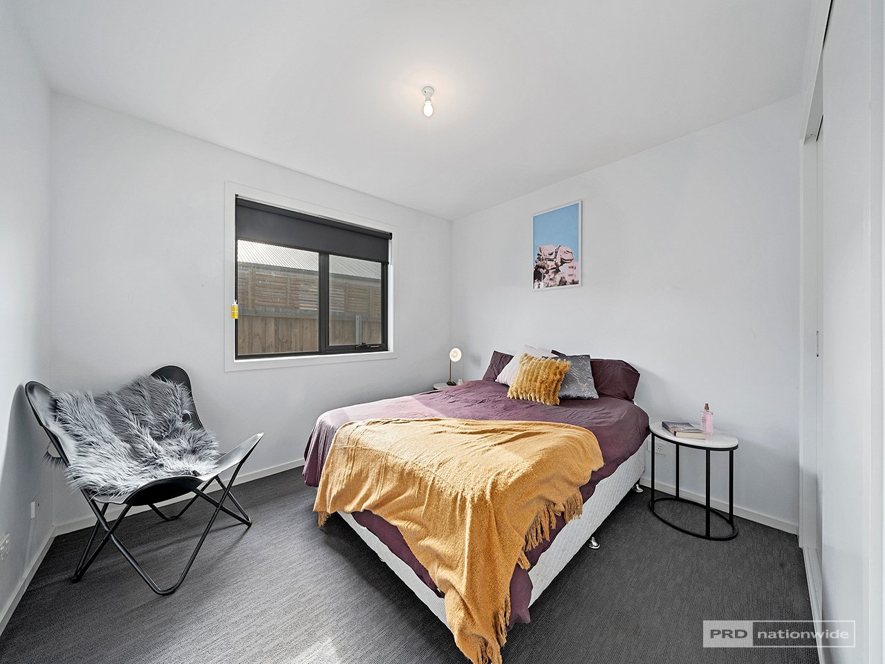 12 Reeve Street CAMPANIA 11