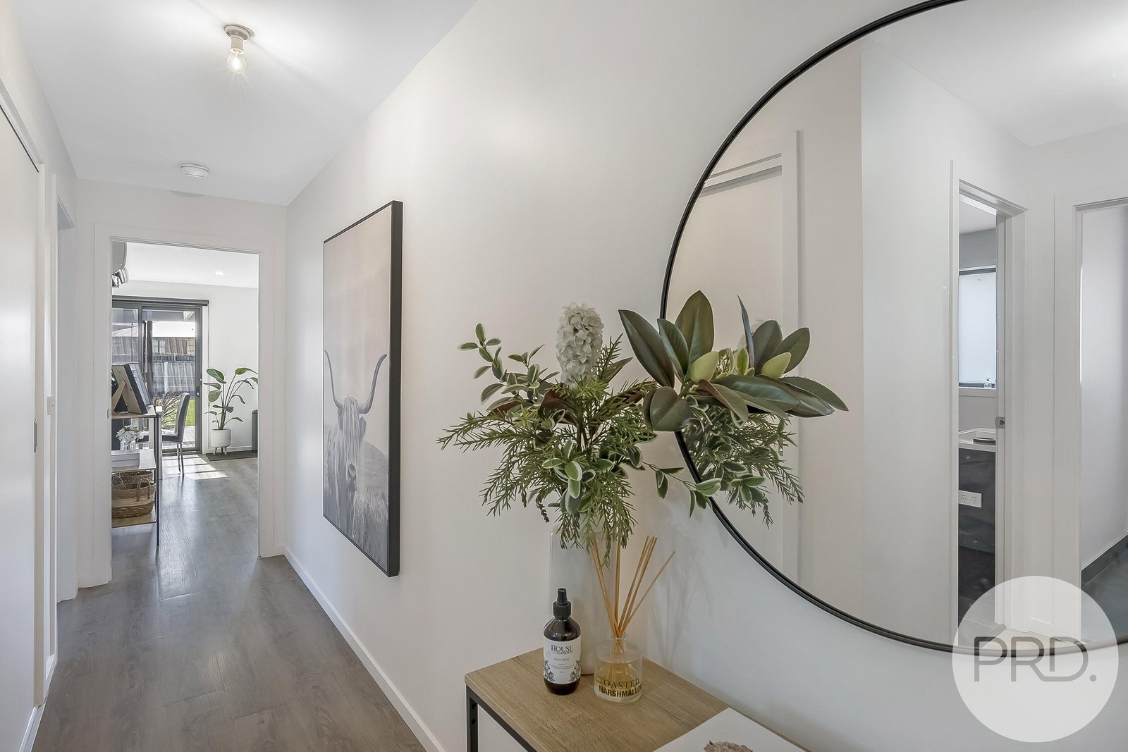 12 Reeve Street CAMPANIA 3