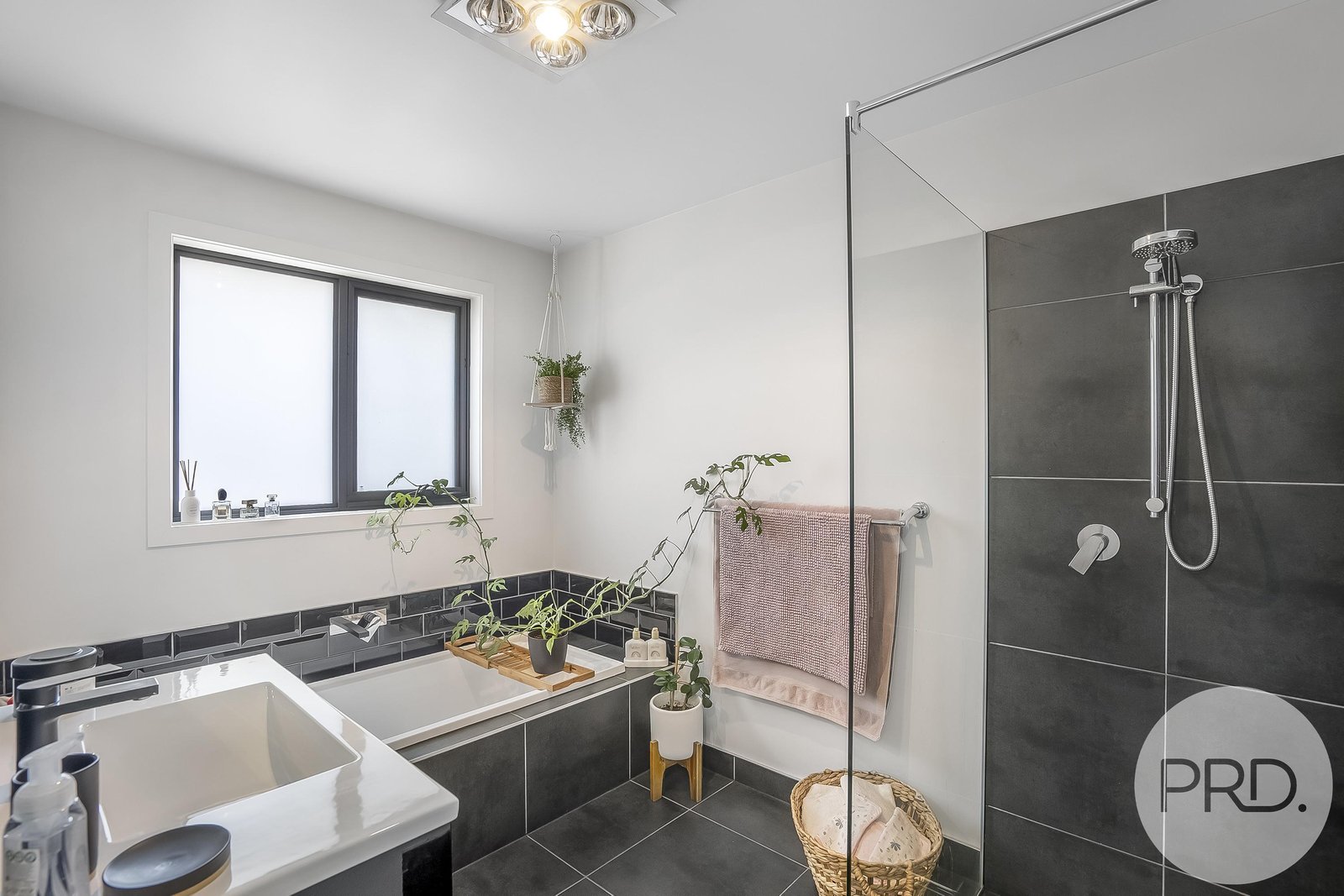 12 Reeve Street CAMPANIA 8