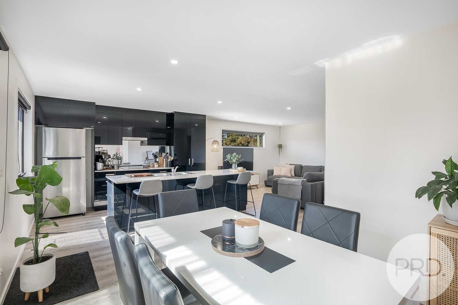 12 Reeve Street CAMPANIA 13