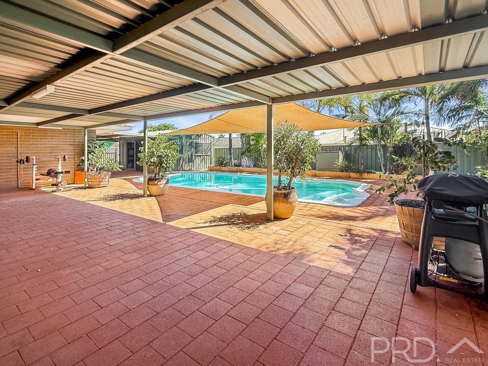 12 Ridley Street BULGARRA 8