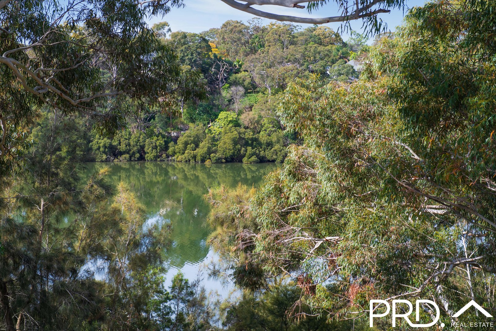 12 Riverview Road PADSTOW HEIGHTS 12