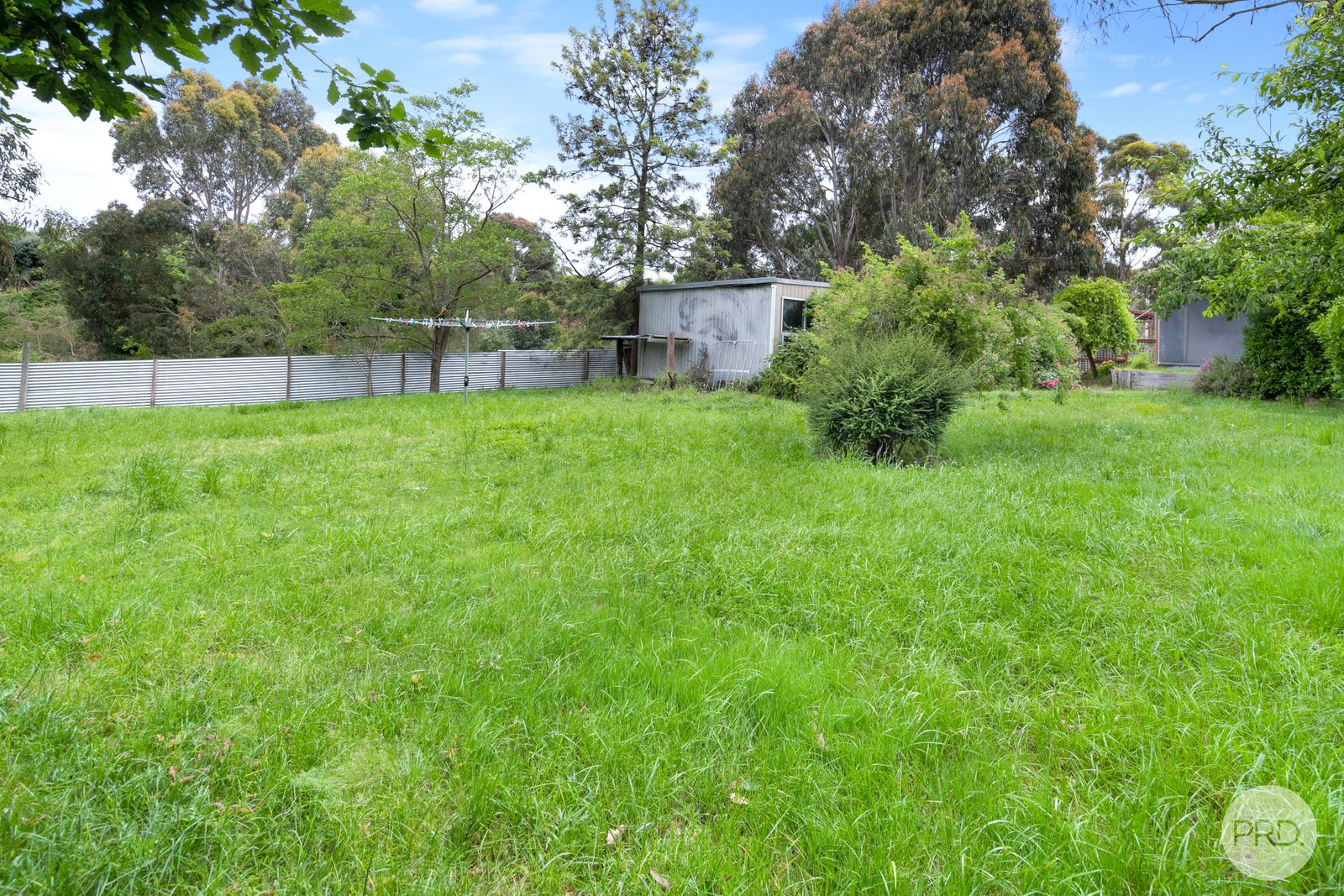 12 Rodier Street EUREKA 12