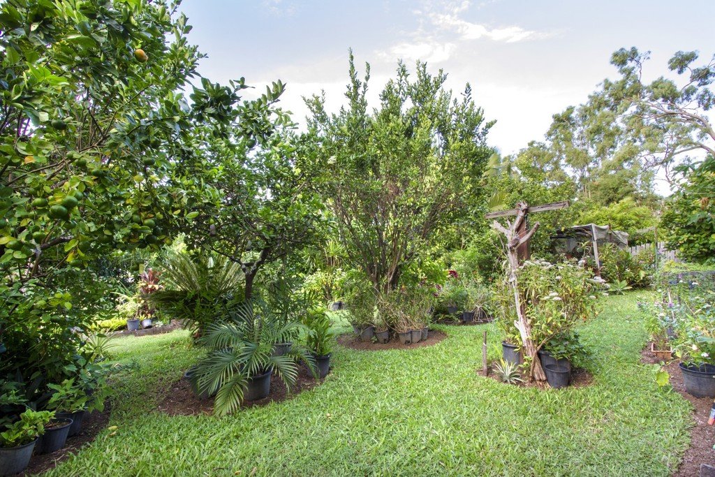 12 South Molle Blvd  CANNONVALE 16