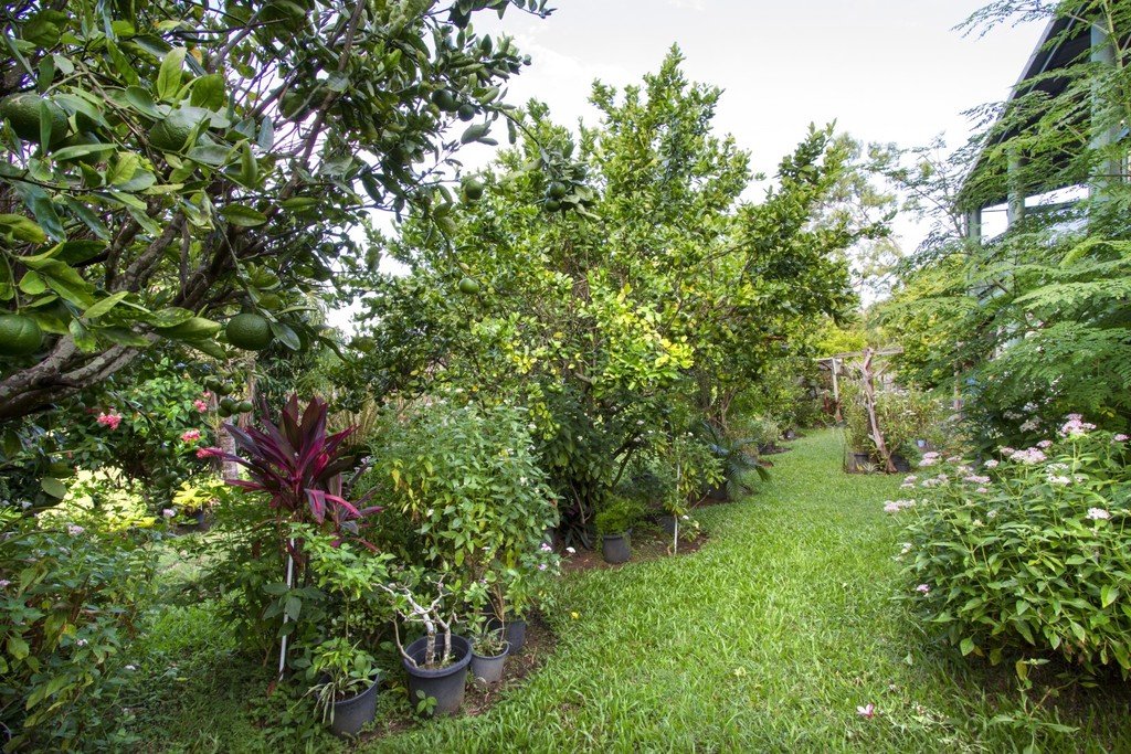 12 South Molle Blvd  CANNONVALE 17