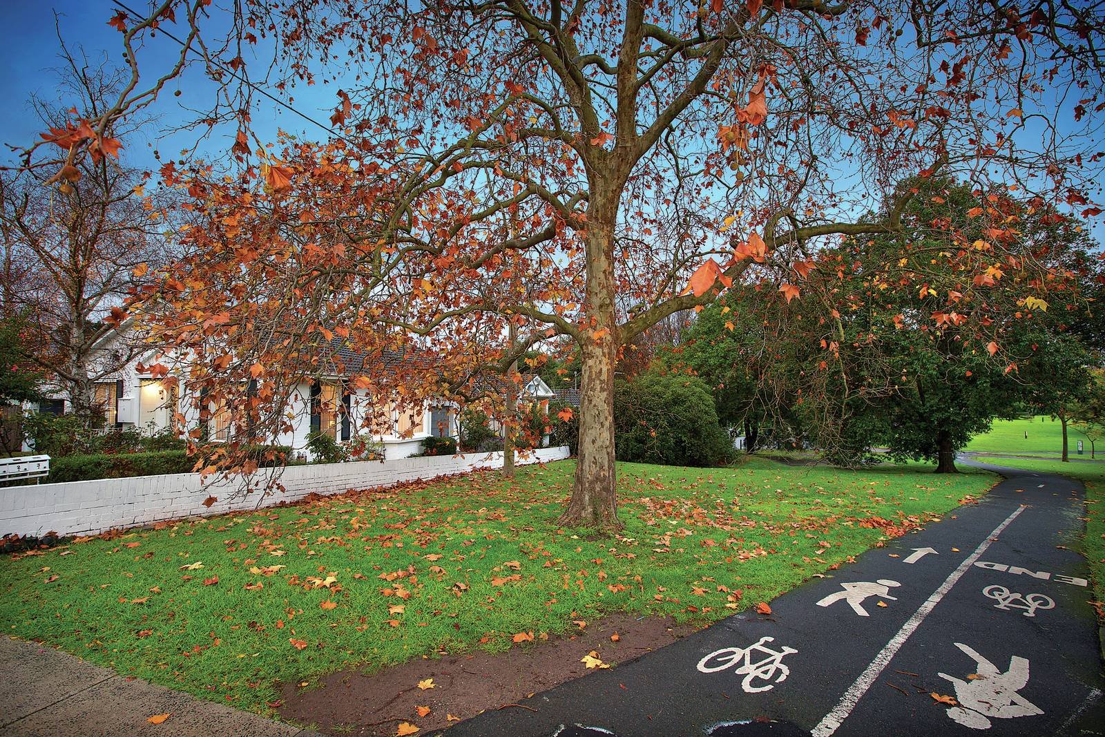 1/2 Spencer Road, Camberwell, VIC