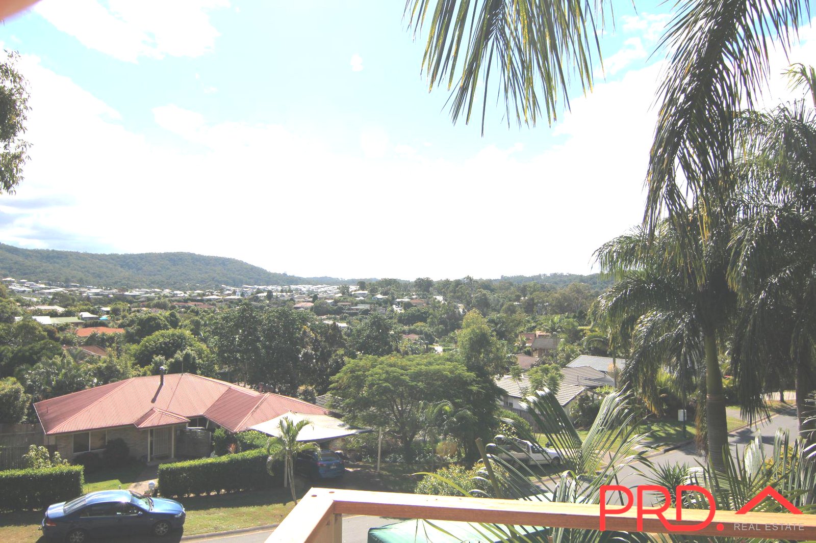 12 Stanfield Drive UPPER COOMERA 11