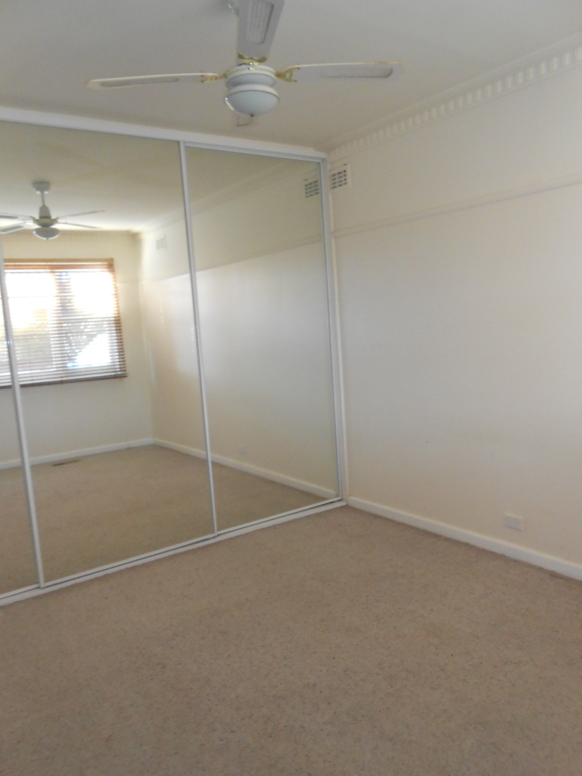 Gallery: 12 Sunray Avenue