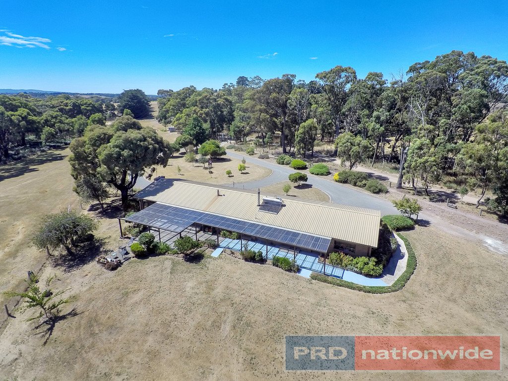 12 Ted Lyons Road NAVIGATORS 12