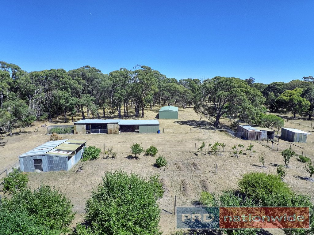 12 Ted Lyons Road NAVIGATORS 13