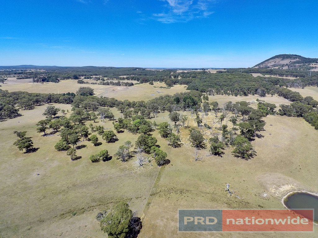 12 Ted Lyons Road NAVIGATORS 14