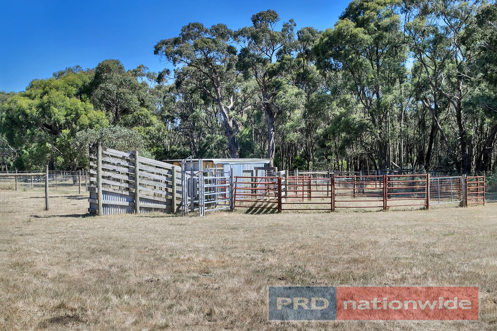 12 Ted Lyons Road NAVIGATORS 16