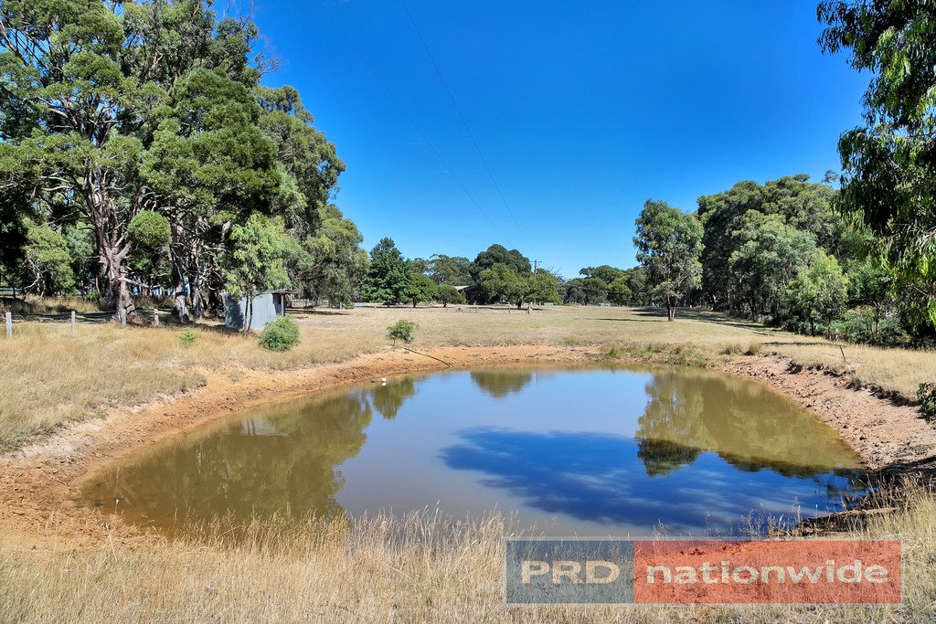 12 Ted Lyons Road NAVIGATORS 17