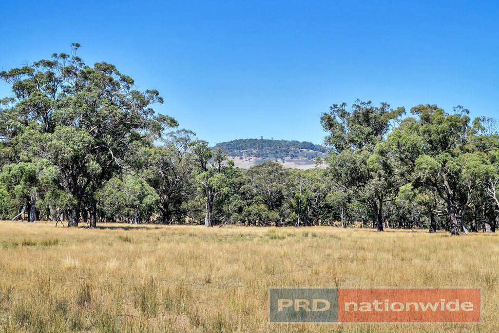 12 Ted Lyons Road NAVIGATORS 18