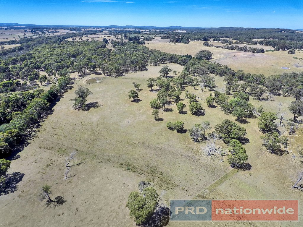 12 Ted Lyons Road NAVIGATORS 19