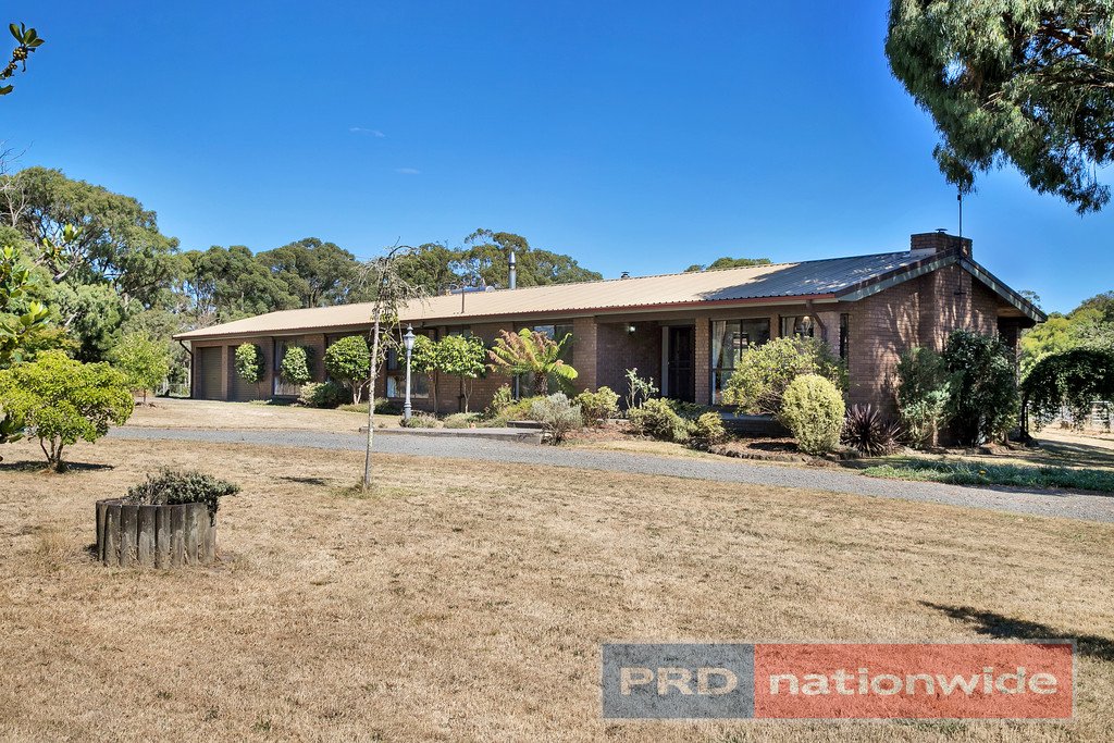 12 Ted Lyons Road NAVIGATORS 21