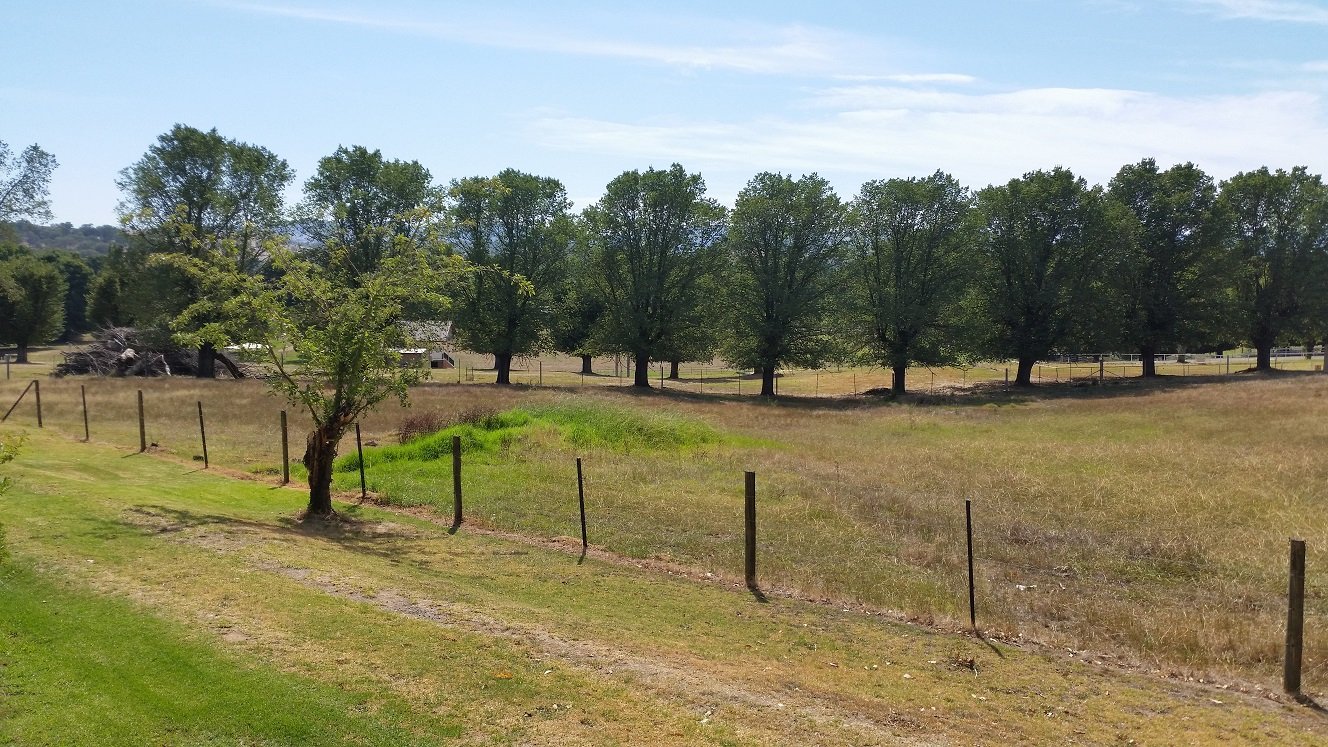 12 Tumut Plains Road TUMUT 4