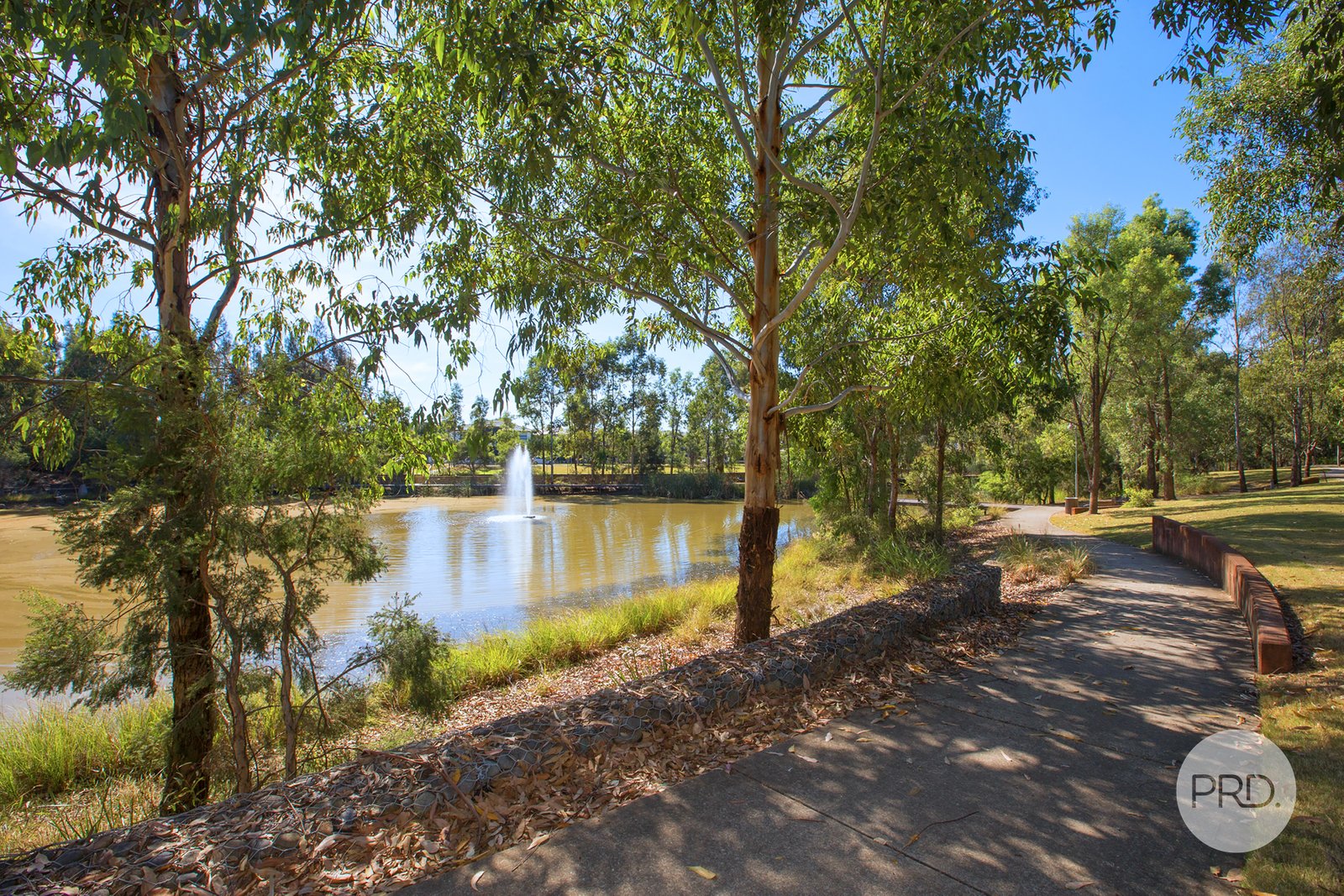 12 Waterside Blvd  CRANEBROOK 20