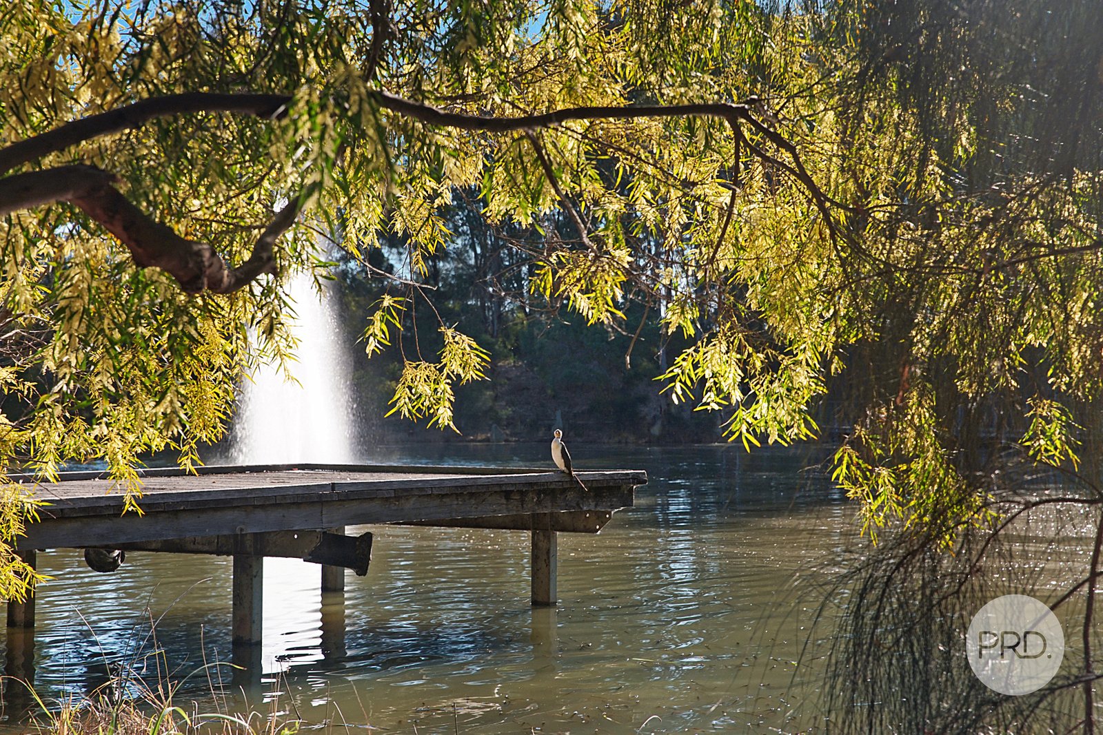 12 Waterside Blvd  CRANEBROOK 23