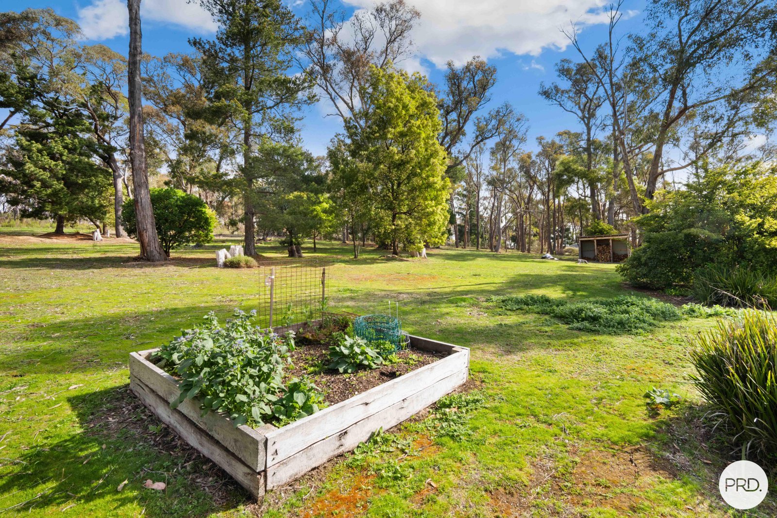 12 White Hills Road CRESWICK 16