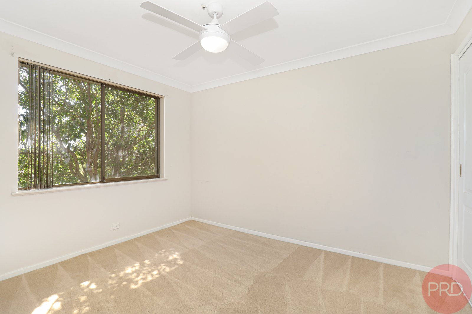 12 William Street GILLIESTON HEIGHTS 11