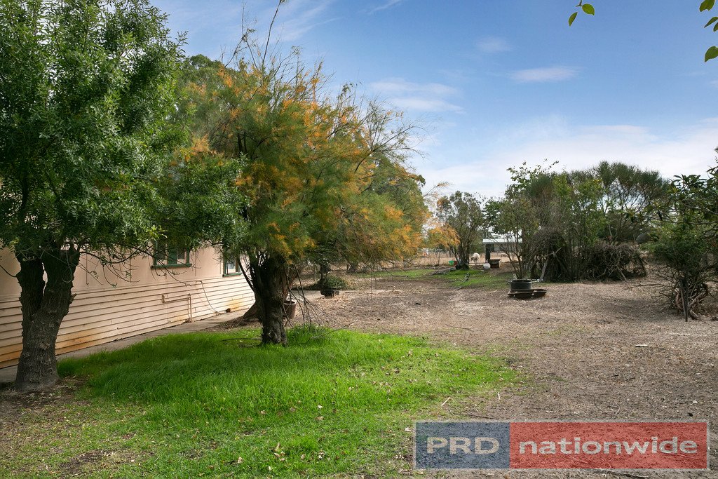 12 Williamson Street LEXTON 3