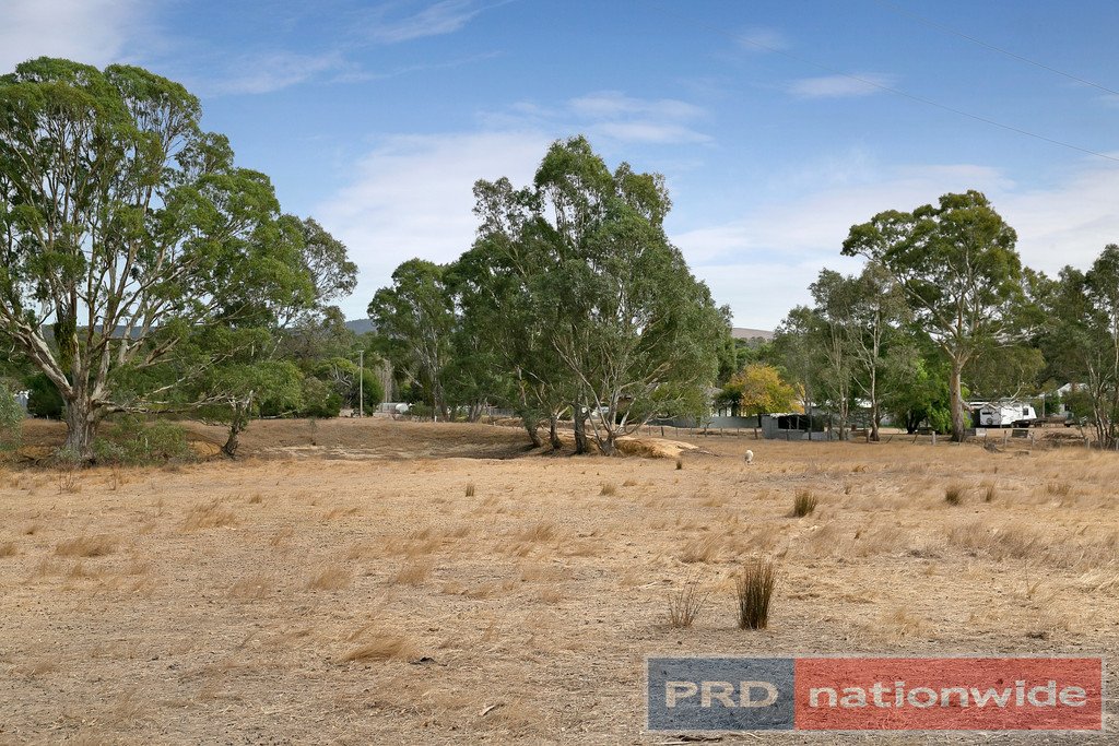 12 Williamson Street LEXTON 13
