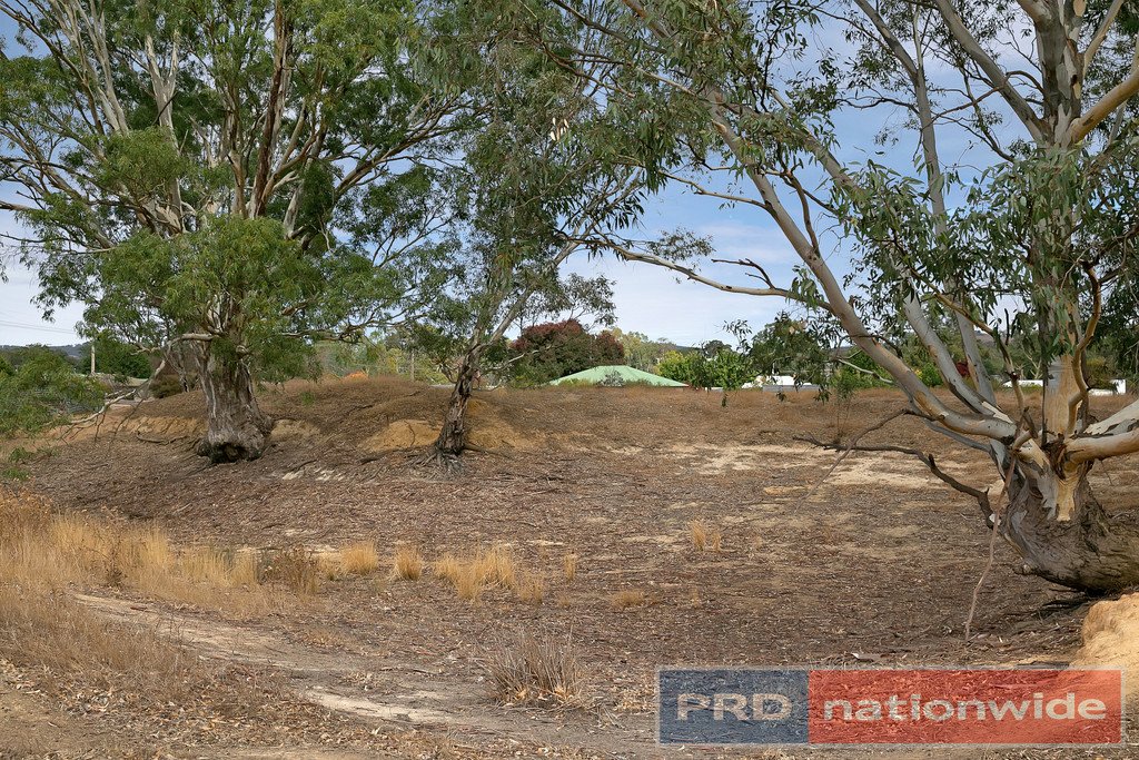12 Williamson Street LEXTON 14