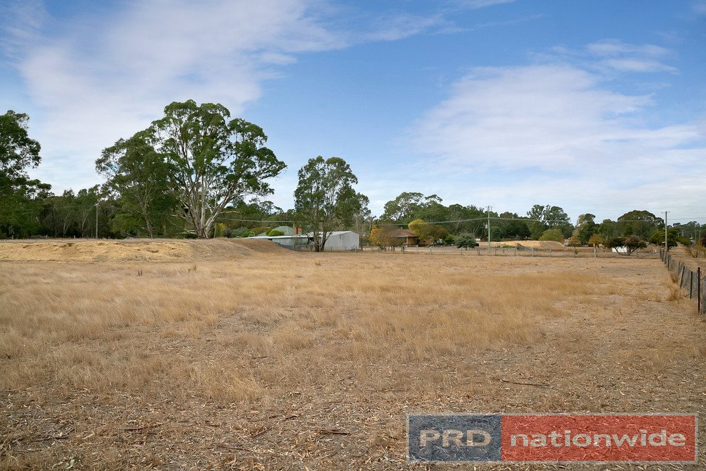 12 Williamson Street LEXTON 15