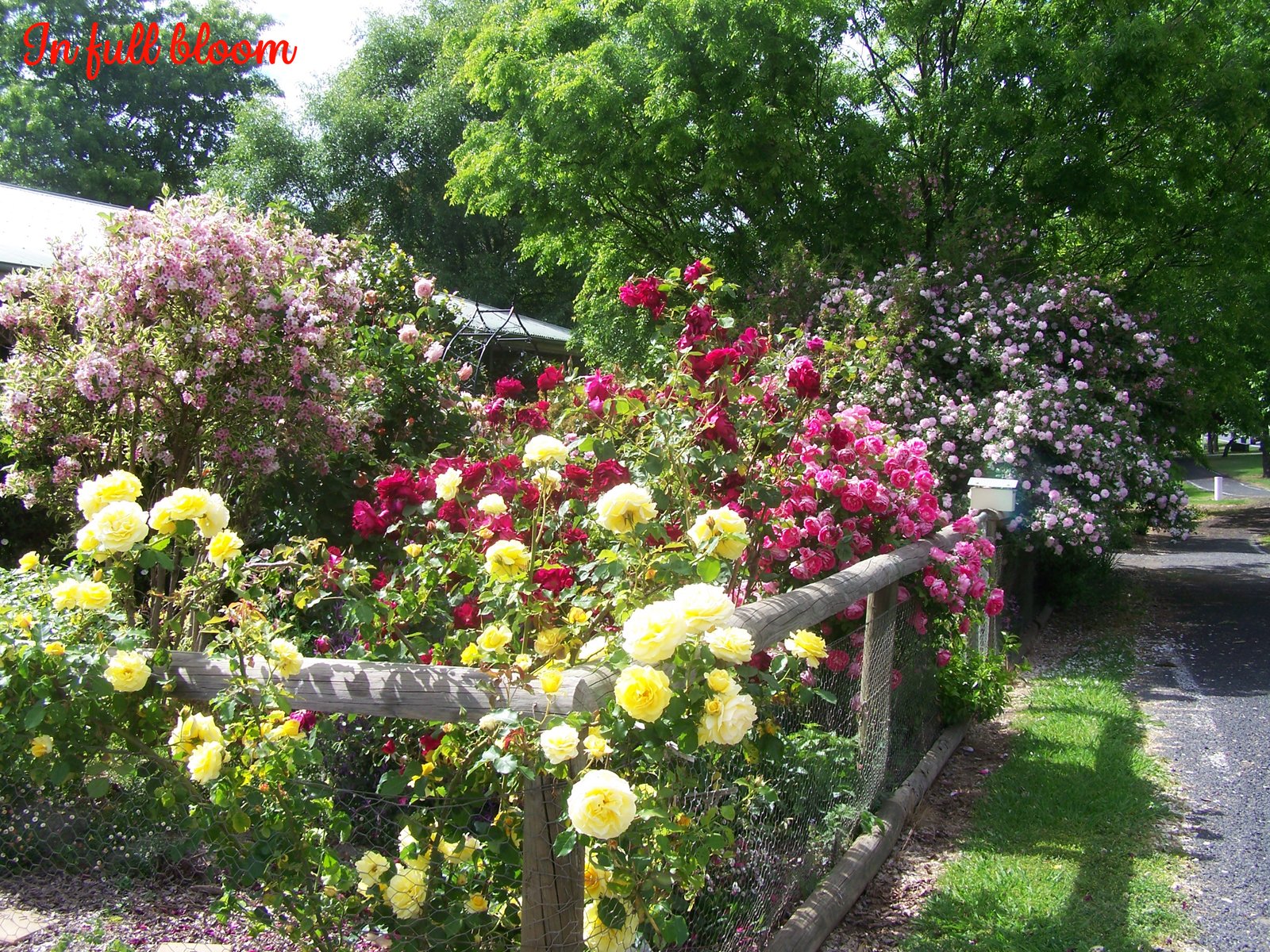 120 Albury Street TUMBARUMBA 20