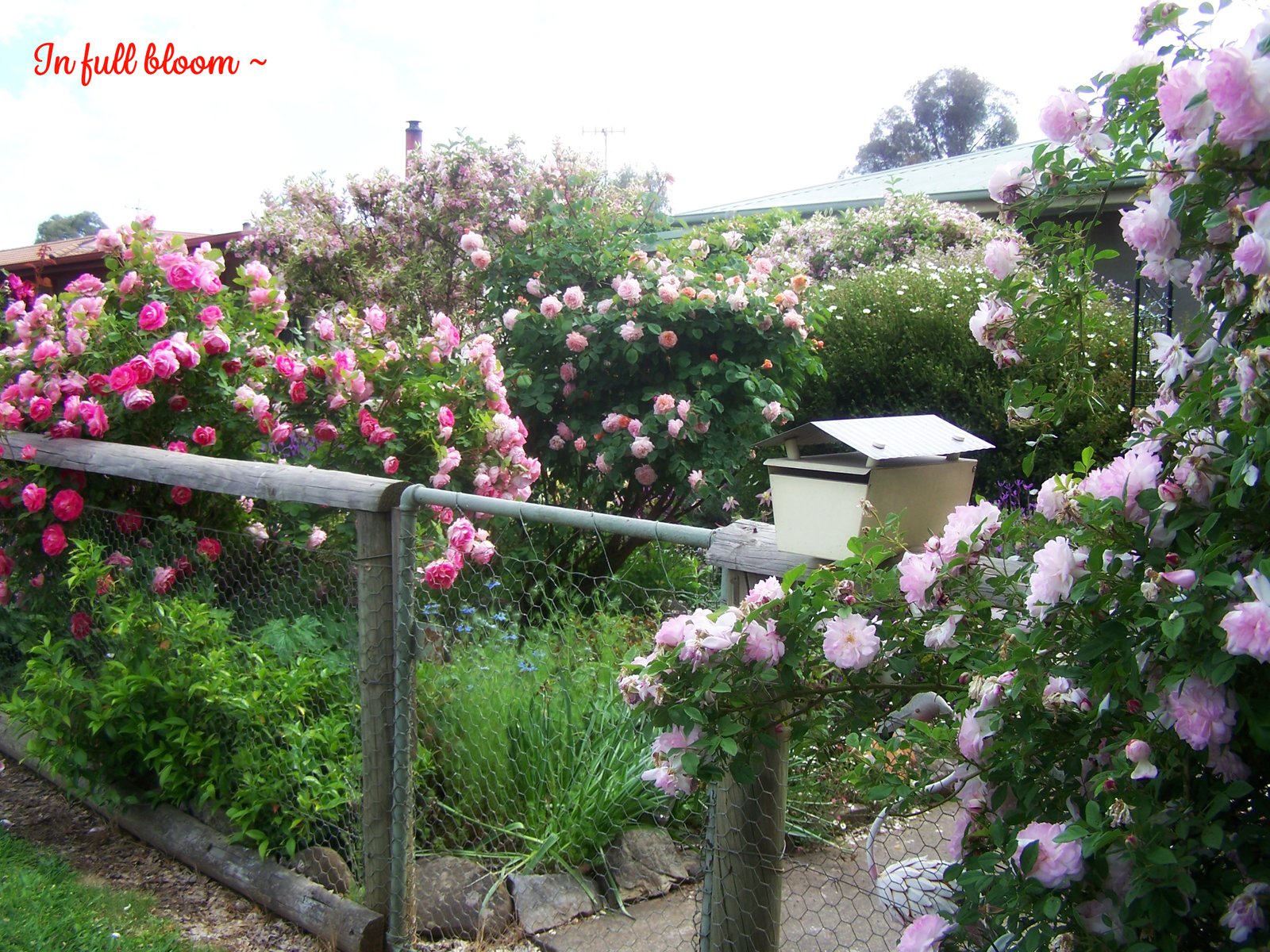 120 Albury Street TUMBARUMBA 21