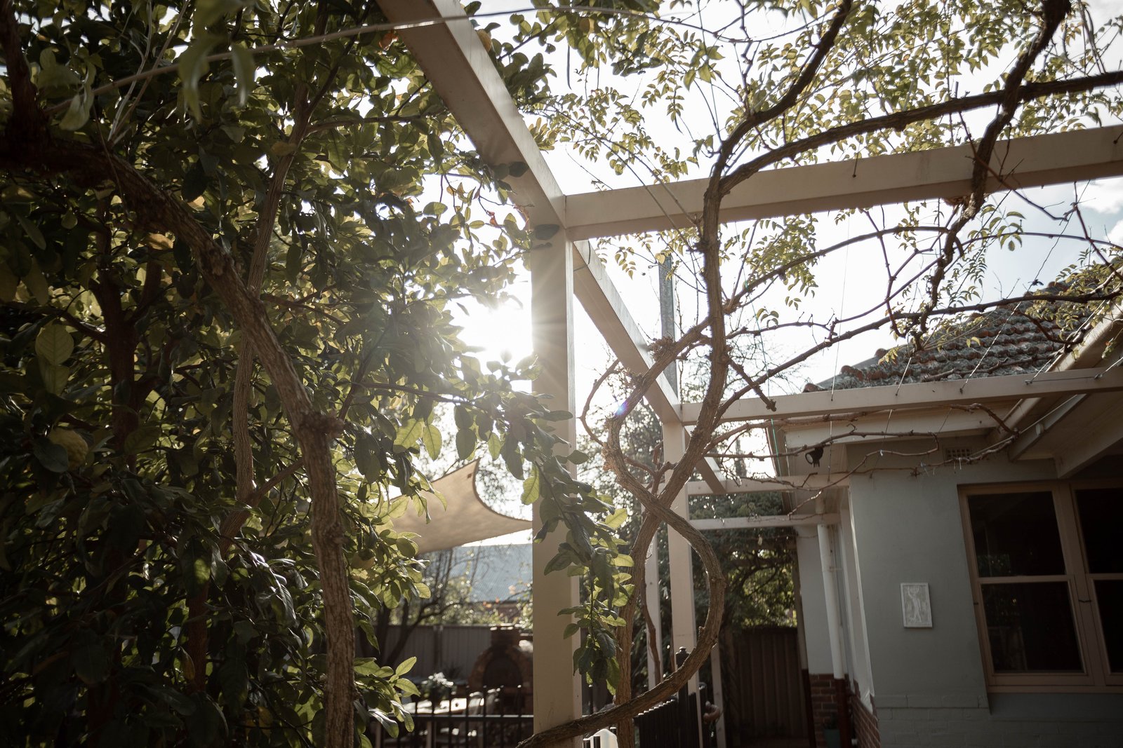 120 Barnard Street BENDIGO 16