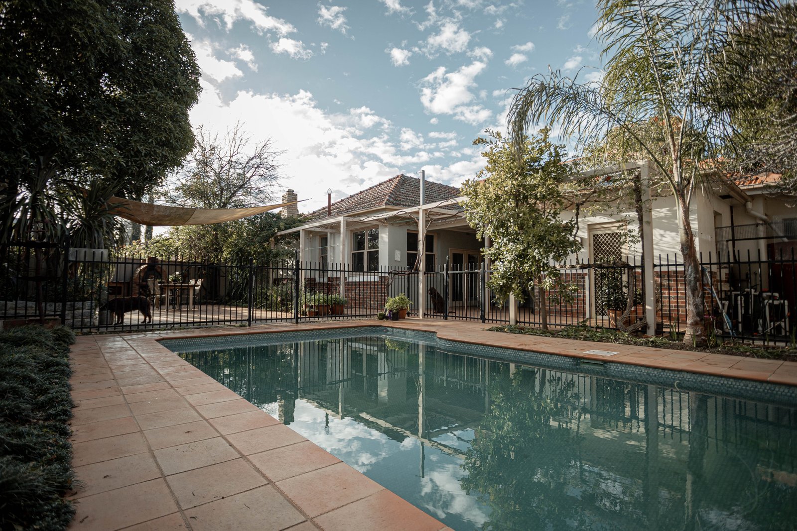 120 Barnard Street BENDIGO 22