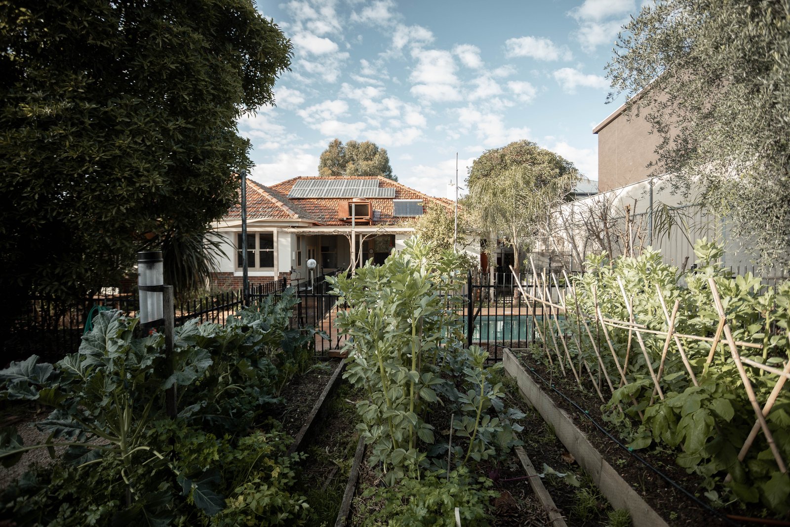 120 Barnard Street BENDIGO 23