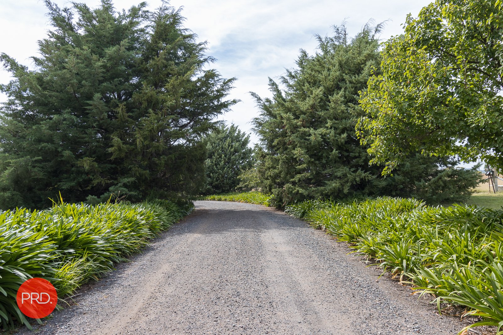 120 Cartwright Avenue SUTTON 23