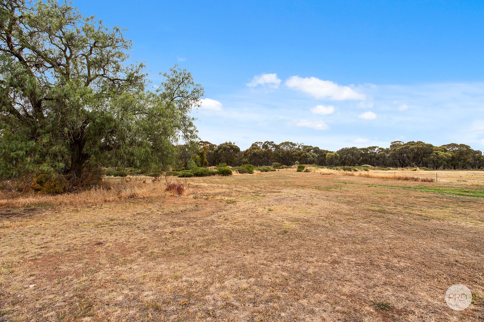 120 Inglewood-Powlett Road INGLEWOOD 14