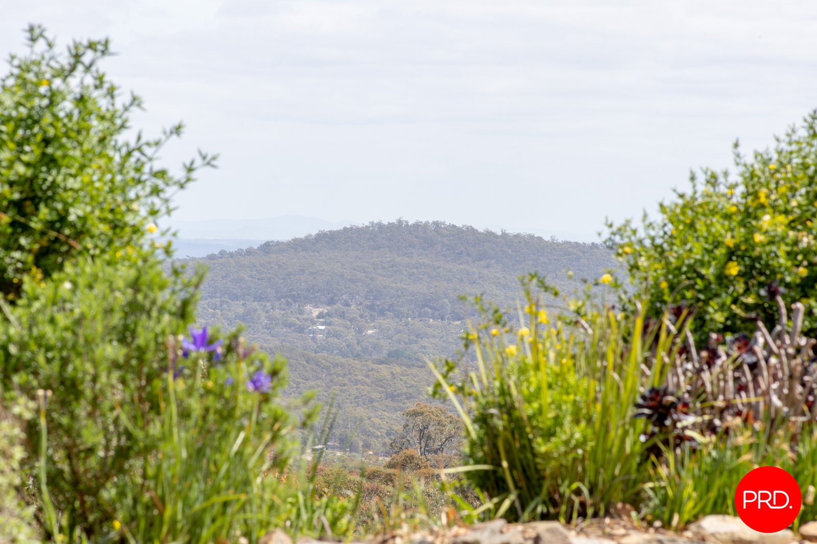 120 Miners Hut Road CHEWTON BUSHLANDS 21