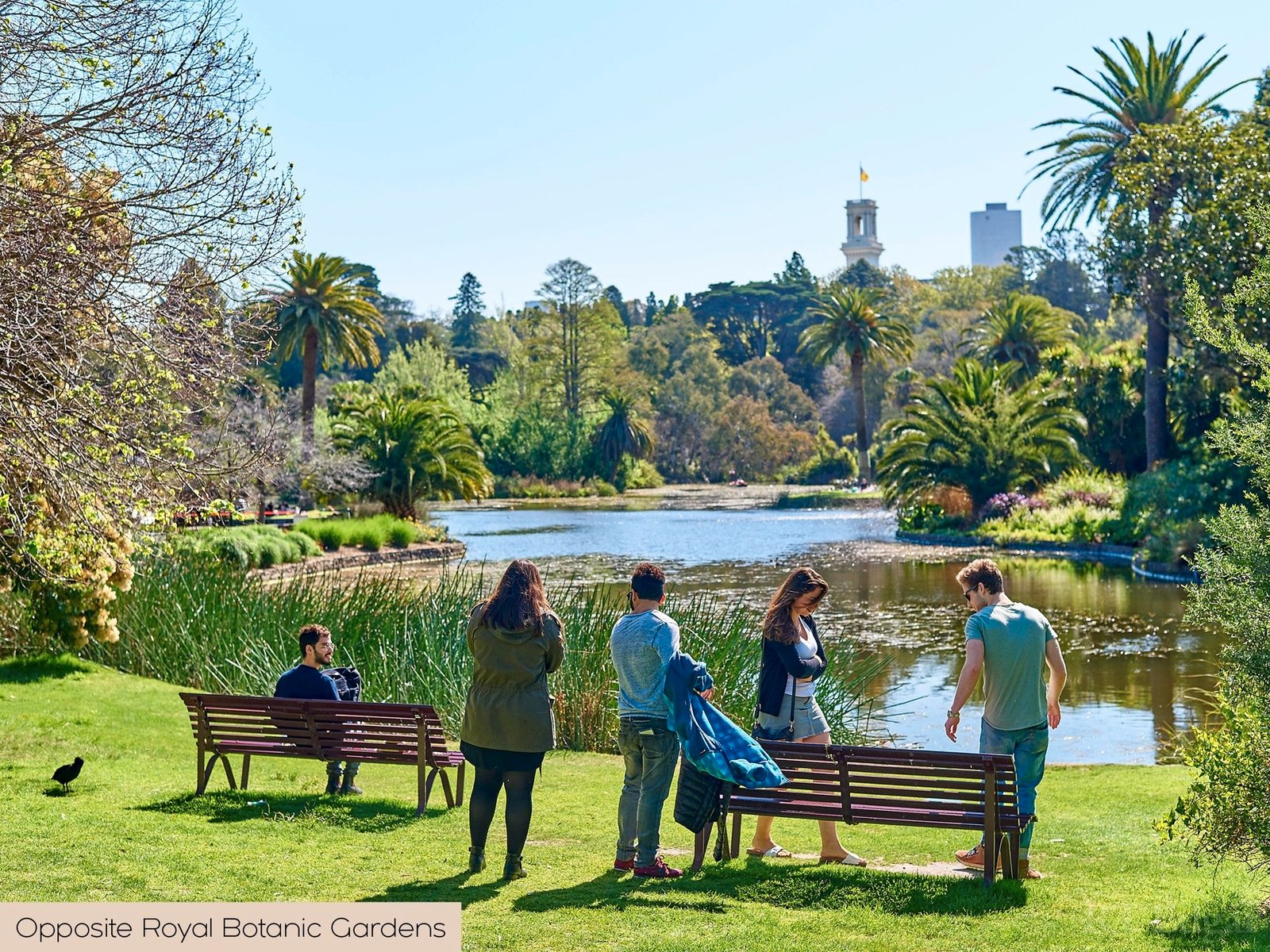 Real Estate and Property in 120 Park Street, South Yarra, VIC