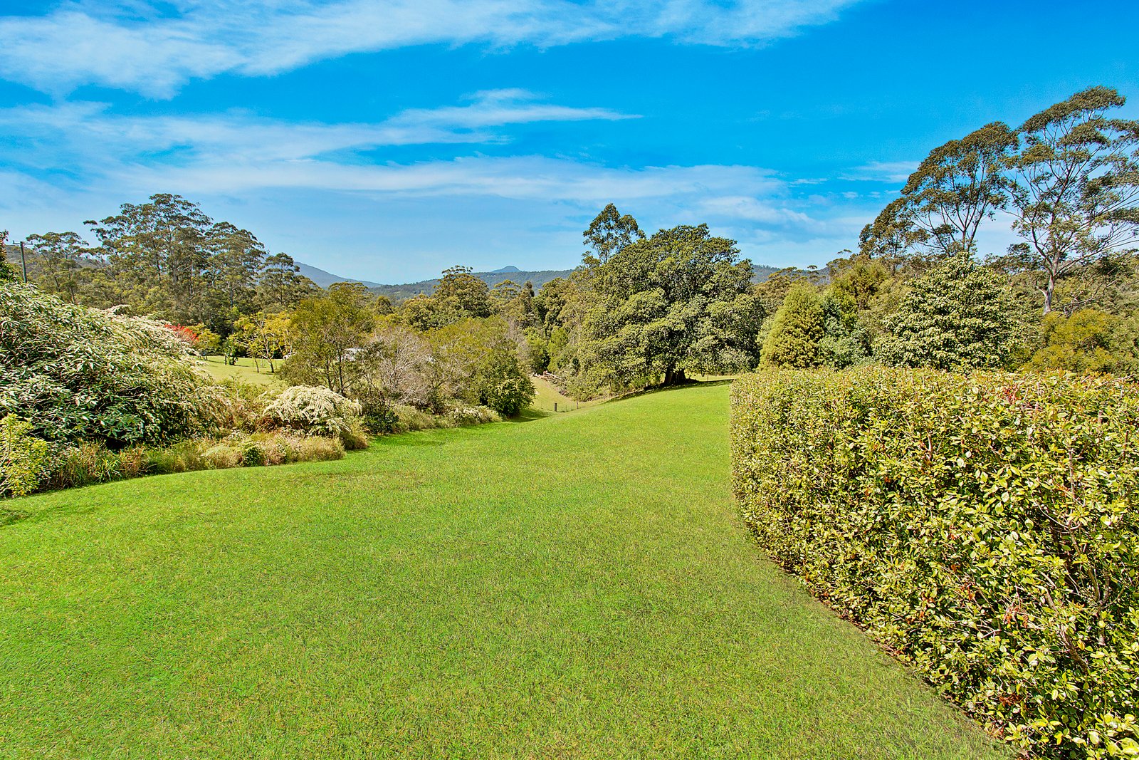 120 Tallowood Lane HANNAM VALE 3