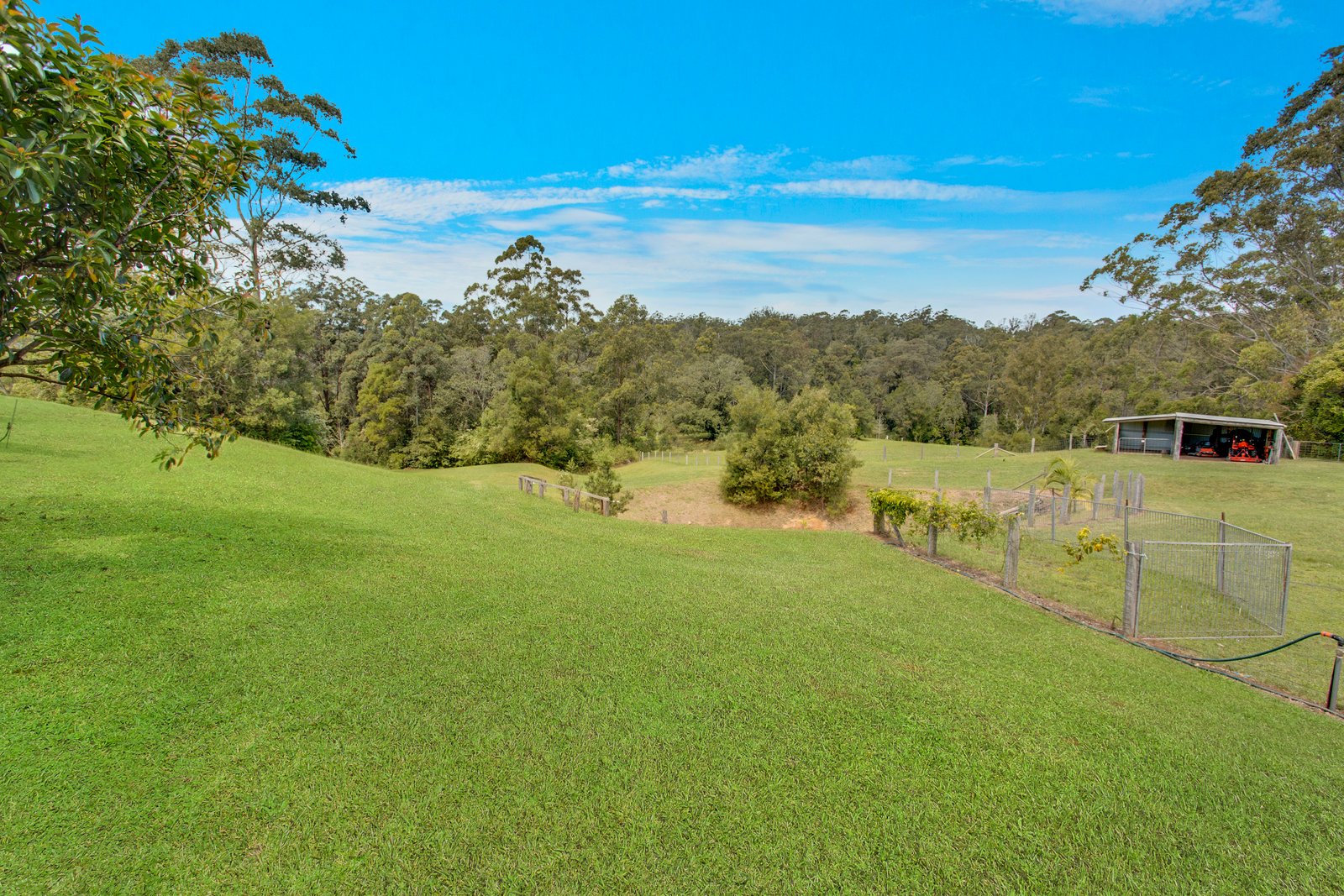 120 Tallowood Lane HANNAM VALE 18